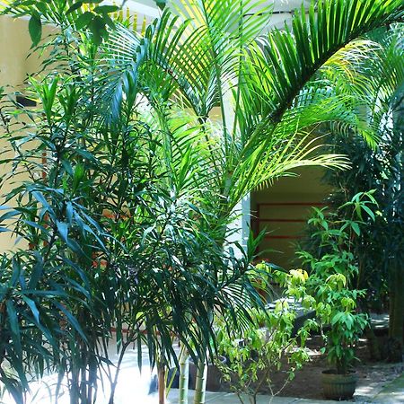 Kuta  Three V Homestay מראה חיצוני תמונה