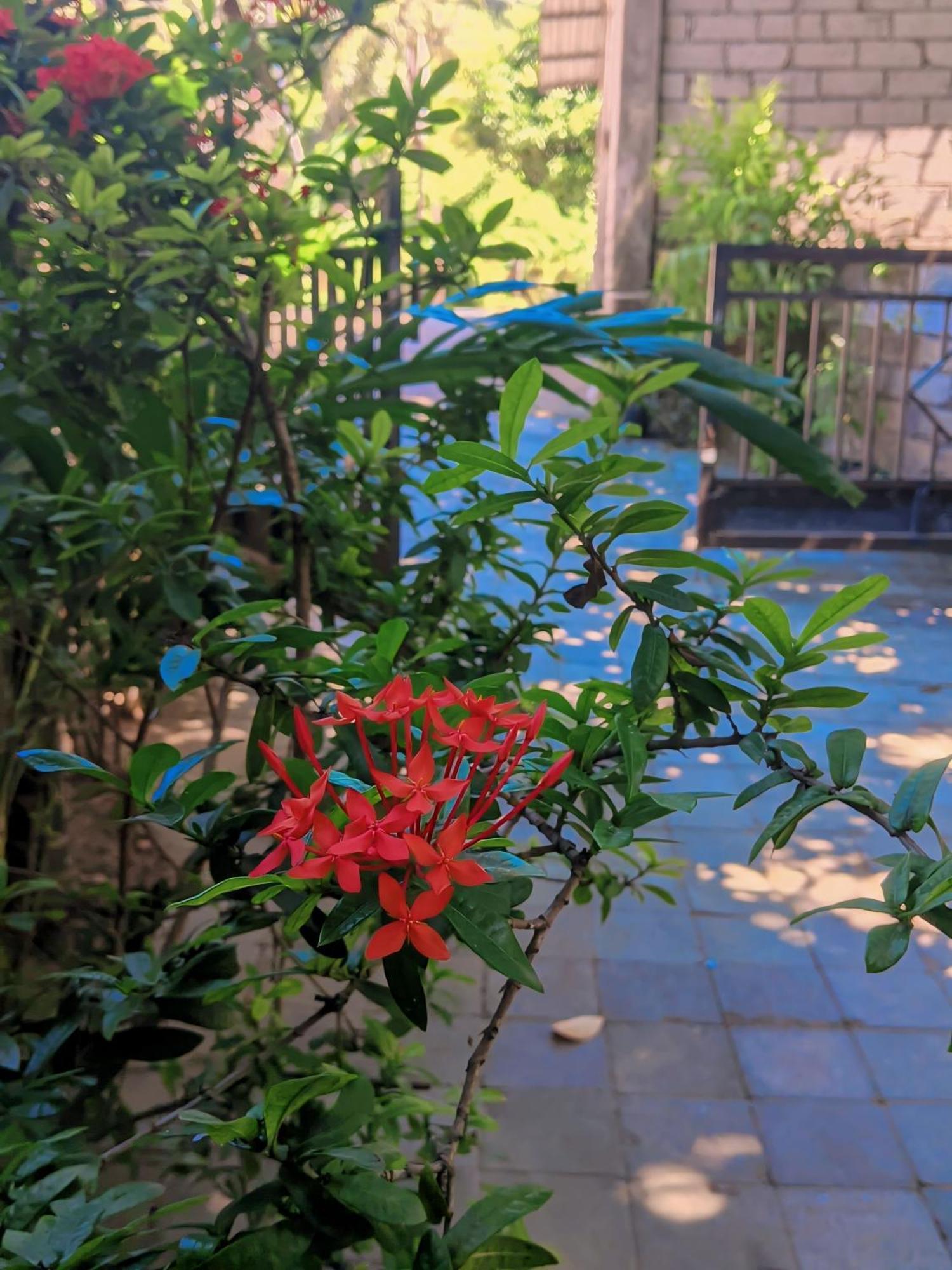 Kuta  Three V Homestay מראה חיצוני תמונה
