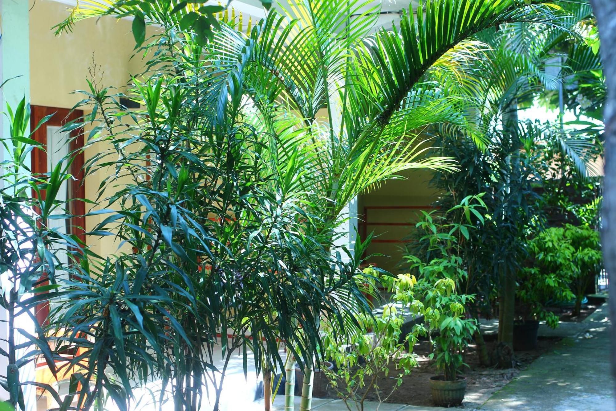 Kuta  Three V Homestay מראה חיצוני תמונה