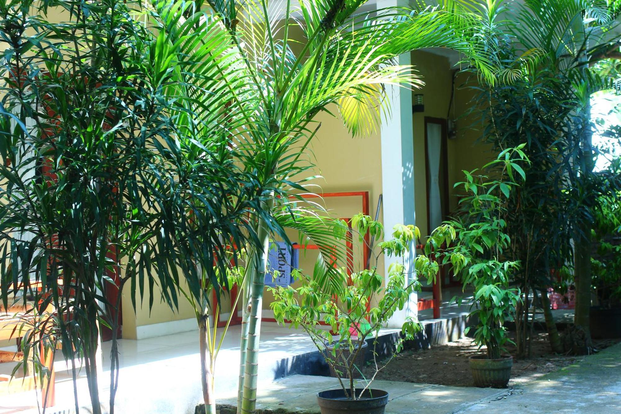 Kuta  Three V Homestay מראה חיצוני תמונה
