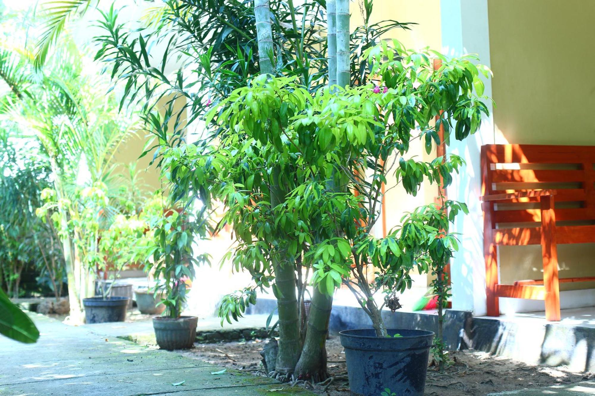 Kuta  Three V Homestay מראה חיצוני תמונה