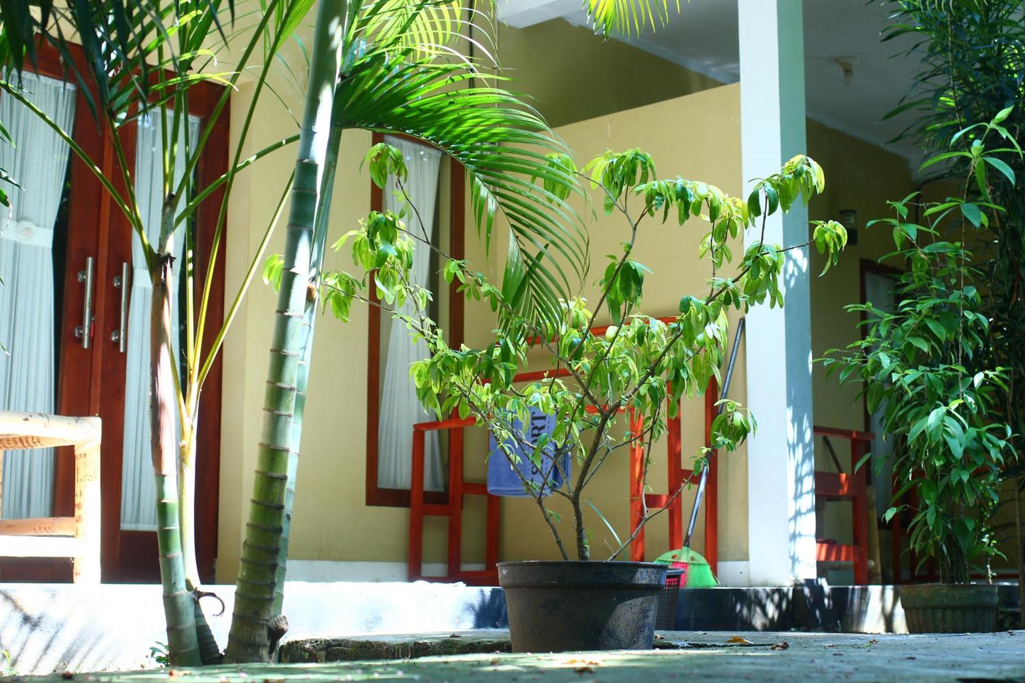 Kuta  Three V Homestay מראה חיצוני תמונה