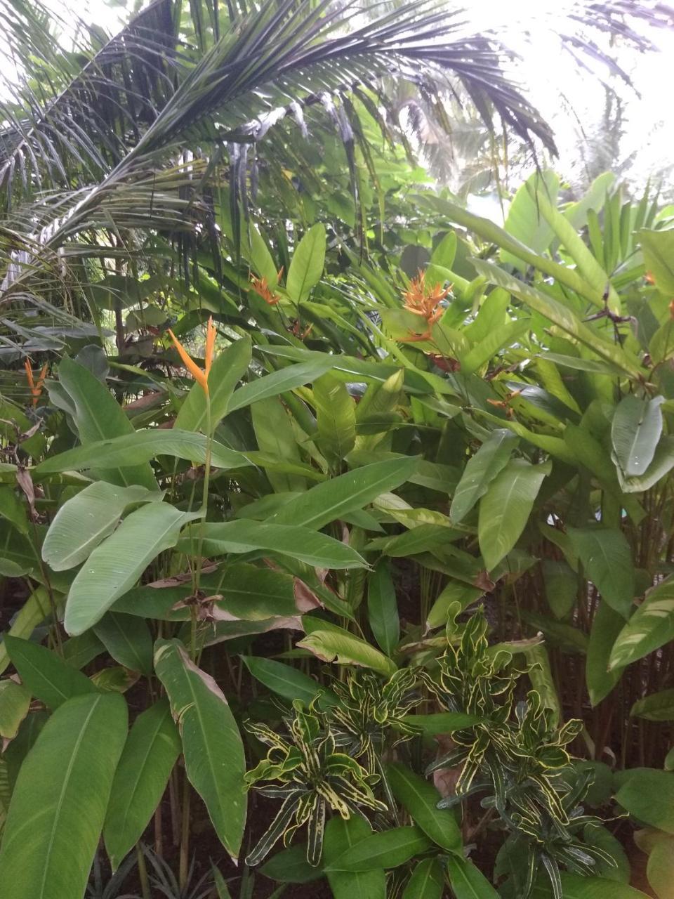 Kuta  Three V Homestay מראה חיצוני תמונה